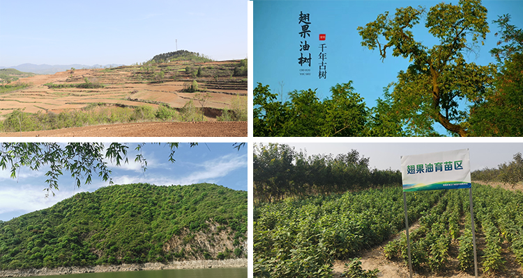 公司簡介配圖.jpg